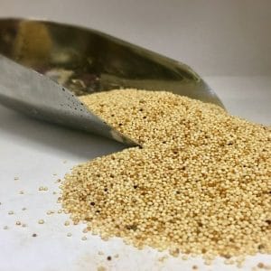 semilla de amaranto