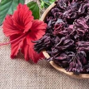 hibisco seco